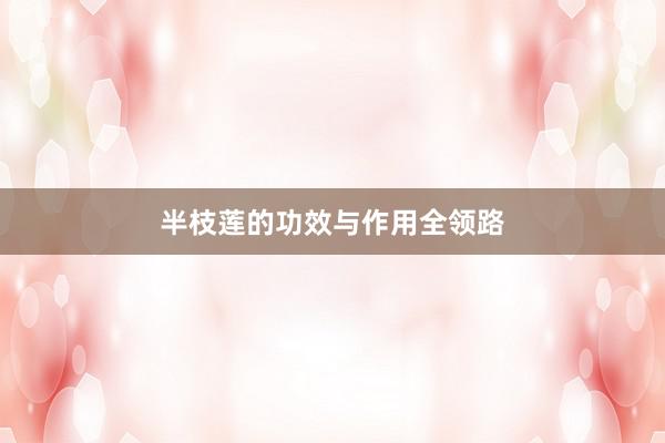 半枝莲的功效与作用全领路