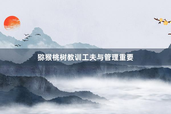 猕猴桃树教训工夫与管理重要