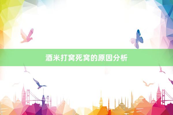 酒米打窝死窝的原因分析