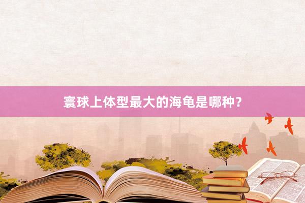 寰球上体型最大的海龟是哪种？
